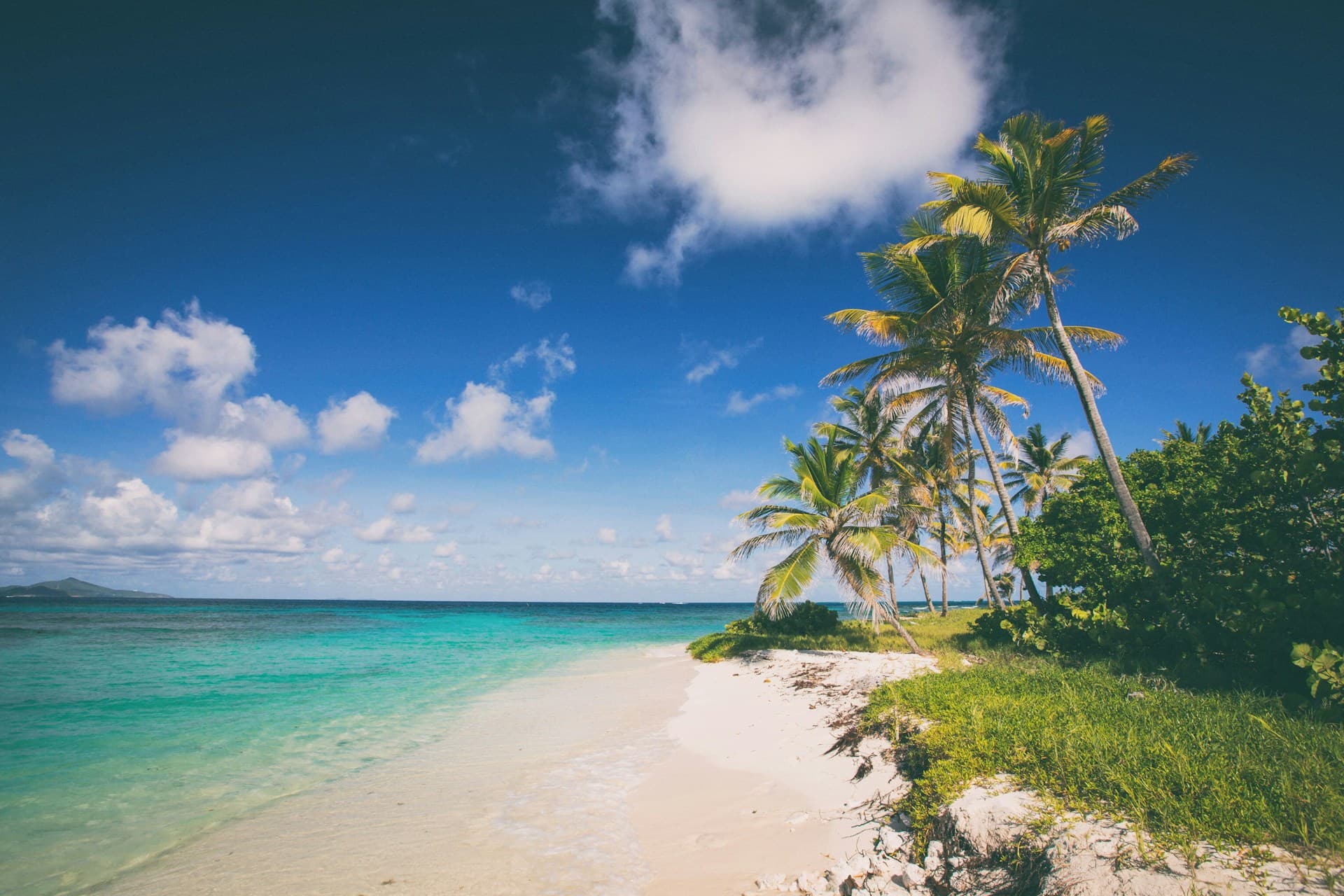 Playa del Caribe con palmeras y agua turquesa